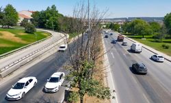 Nebi Hatipoğlu'ndan trafik tepkisi!