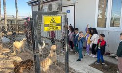 Miniklerden Hayvanları Koruma Günü'ne özel ziyaret