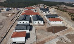 Hayvan Bakımevi ve Doğal Yaşam Alan yükseliyor