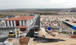 Hayvan barınağında sona yaklaşılıyor