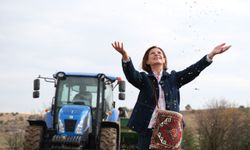 13 bin yıllık ata yadigarı Kıvılca buğdayı yeniden toprakla buluştu