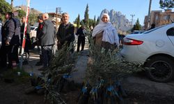 Mavi sertifikalı zeytinler Sakarya Vadisi'nde büyüyecek