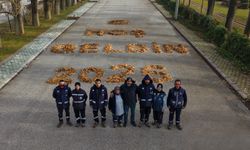 Kavak yapraklarından 'Hoşgeldin 2026' yazdılar