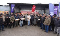 12 ilçede çiftçiye arı yemi desteği sağlandı