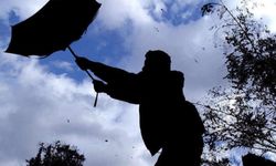 Meteoroloji'den kuvvetli rüzgar uyarısı!