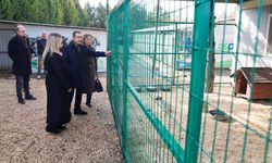 Başkan Ataç, yürütülen çalışmaları yerinde inceledi