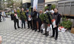4 bin karaçam fidanı vatandaşlara hediye edildi