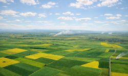 Alpu Termik Santrali projesine iptal kararı