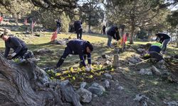 Şehitlikler çiçeklerle donatıldı