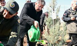 8 bin 600 fidan toprakla buluştu