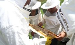 Odunpazarı’nda arıcılık eğitimleri başladı