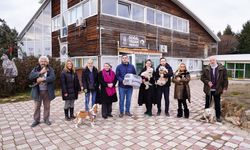 Patili canlar Tepebaşı'nda yuva buluyor