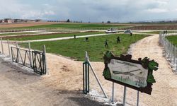 Fidanlar Kent Korusu'nda yeşerecek