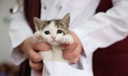 Odunpazarı'nda çocukların kalpleri hayvan sevgisiyle ısındı