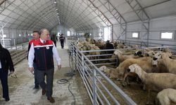 Kurban satış ve kesim alanlarına sıkı denetim