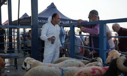 Büyükşehir'den bayramda güvenli ve hijyenik kesim hizmeti