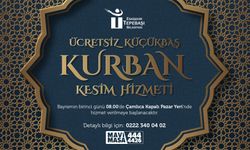 Tepebaşı'nda kesim alanı hazır