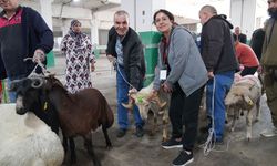 Bayram huzuru Tepebaşı'nda yaşandı
