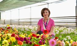 Özenle üretilen çiçekler Eskişehir'i süsleyecek
