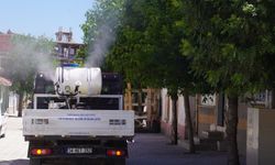 Haşerelere karşı mücadelede ilaçlama çalışmaları sürüyor