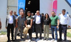 Damızlık koçlar Alpu'daki üreticilerle buluştu
