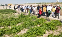 Çiftçiye bilim destekli tarım hamlesi