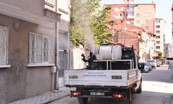 Tepebaşı'nda haşerelere karşı mücadele aralıksız sürüyor