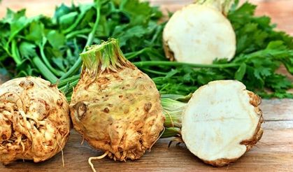 Doğanın sağlık deposu 'Kereviz'