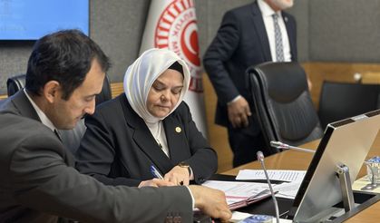 AK Parti Eskişehir Milletvekili Ayşen Gürcan'a TBMM komisyonunda önemli görev