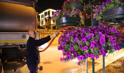 Şehri renklendiren çiçek ve ağaçlar gece bakımı ile canlanıyor
