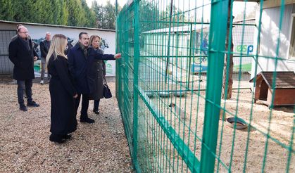 Başkan Ataç, yürütülen çalışmaları yerinde inceledi