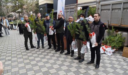 4 bin karaçam fidanı vatandaşlara hediye edildi