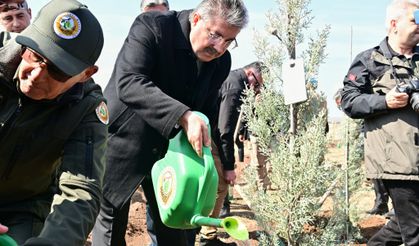 8 bin 600 fidan toprakla buluştu