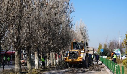 Sazova'da çalışmalar devam ediyor