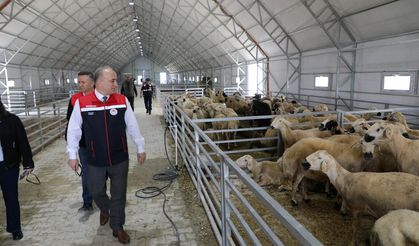 Kurban satış ve kesim alanlarına sıkı denetim