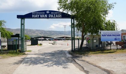 Hayvan Pazarı için yer satışları başladı!