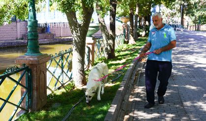 Doğal Yaşam Merkezi'nden sevgi dolu yuvaya