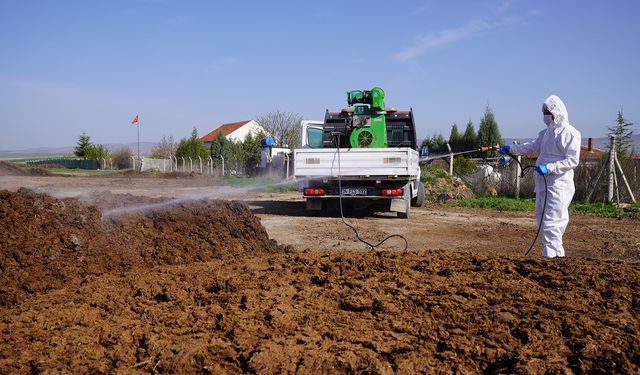 Toplum sağlığı için ilaçlama çalışmaları yapılıyor