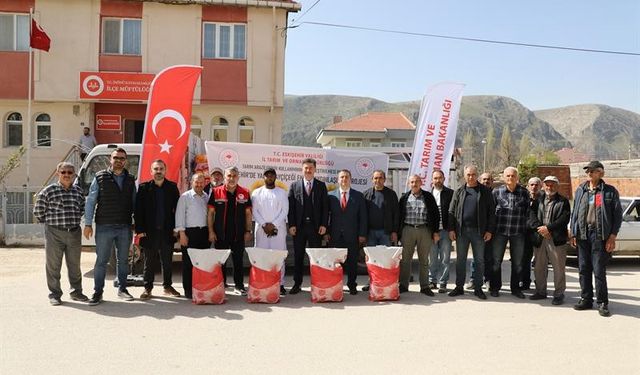 580 kilogram yağlık ayçiçeği tohumu çiftçiye dağıtıldı