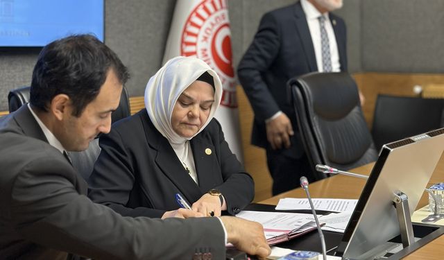 AK Parti Eskişehir Milletvekili Ayşen Gürcan'a TBMM komisyonunda önemli görev