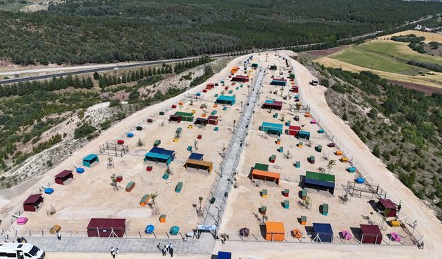 Sokak hayvanları için doğal yaşam alanı açıldı