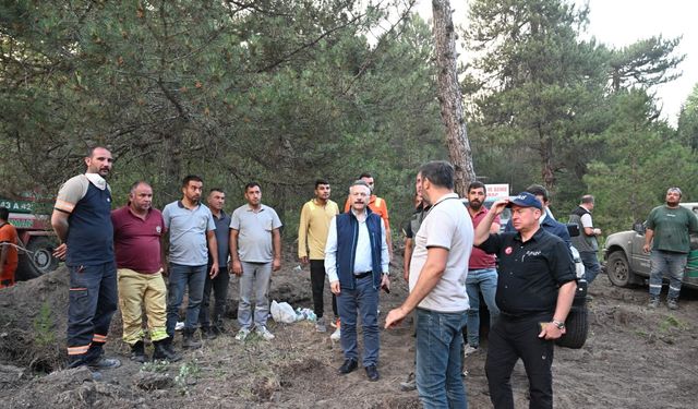 Vali Aksoy, orman yangını yaşanan alanda incelemelerde bulundu