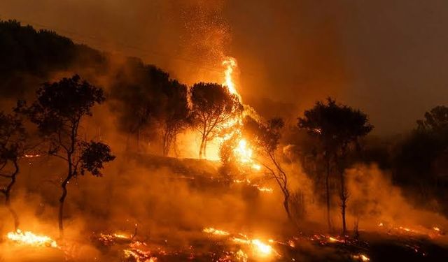 Seyitgazi'den üzen haber! Alevlere müdahale eden 10 kişi hayatını kaybetti