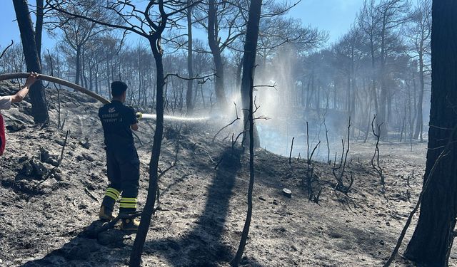 Çanakkale'deki orman yangınlarına Eskişehir'den takviye ekip