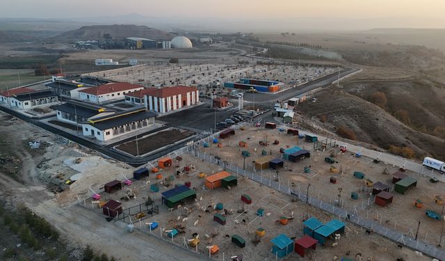 Büyükşehir'den 2025'te can dostlara tam destek