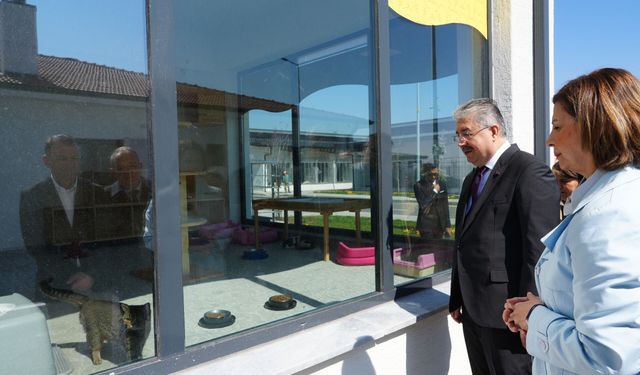 Vali Yılmaz, Hayvan Bakımevi'ni ziyaret etti