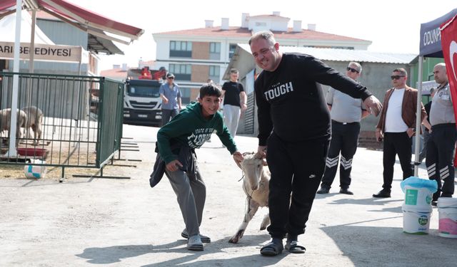 Kurban kesimleri veteriner hekim ve din görevlisi gözetiminde yapılacak