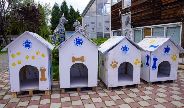 Gençlerden can dostlara anlamlı bağış