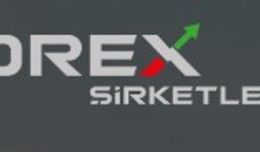 Forex Şirketleri
