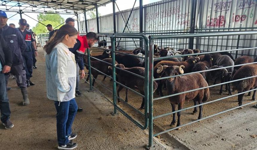 Ekiplerden Hayvan Pazarı'na sıkı denetim